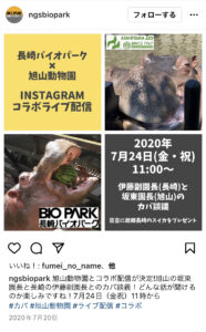 インスタ集客事例：長崎旭山